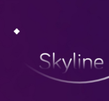 skylineģ�������°�