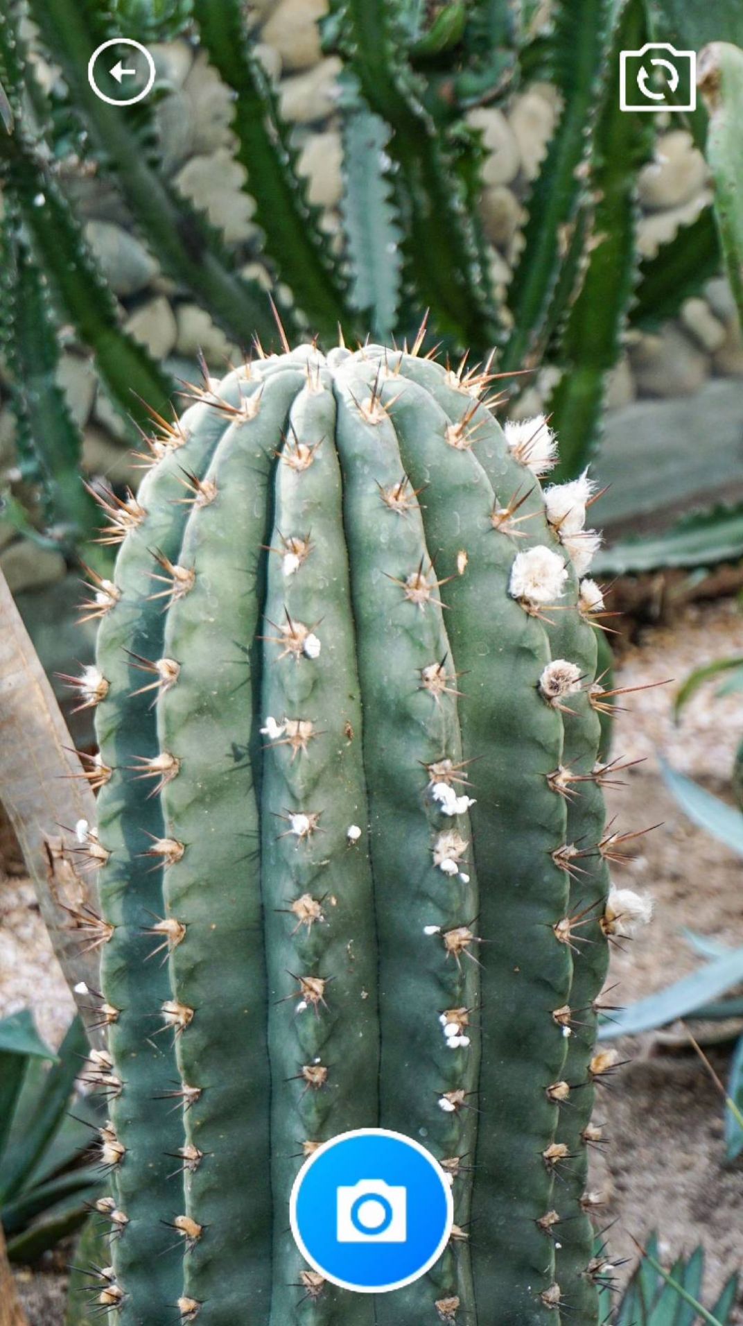 �����������ı�