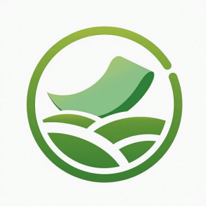 �����̳�